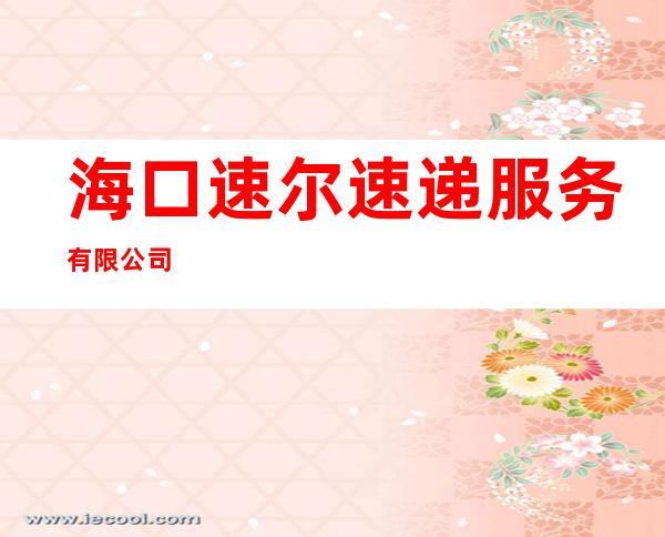 海口速尔速递服务有限公司