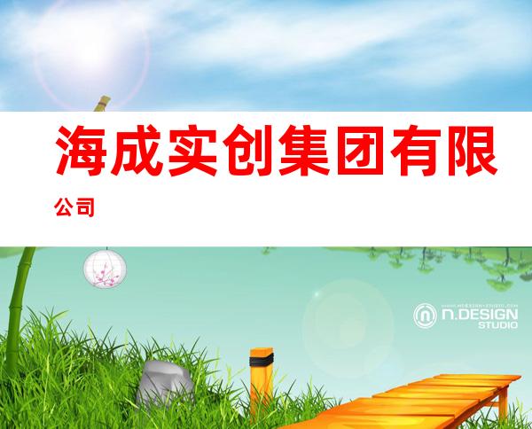 海成实创集团有限公司