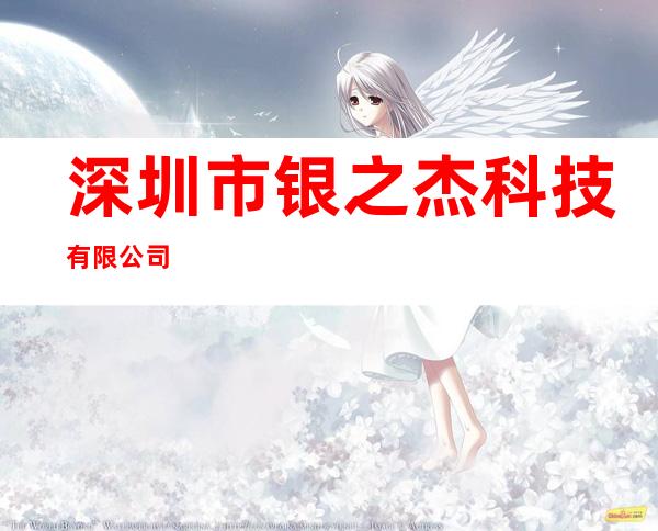 深圳市银之杰科技有限公司