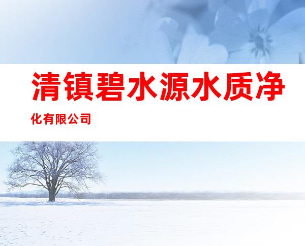 清镇碧水源水质净化有限公司
