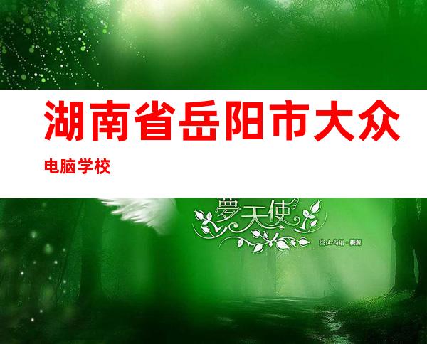 湖南省岳阳市大众电脑学校