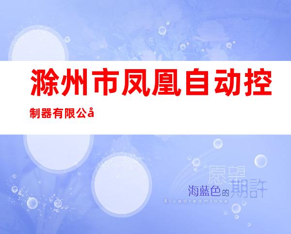 滁州市凤凰自动控制器有限公司