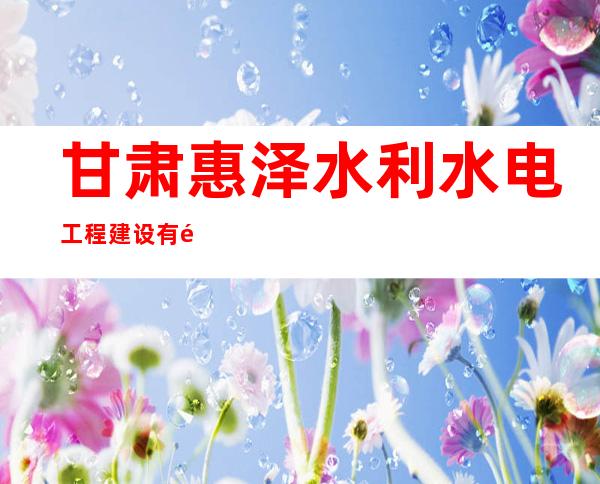 甘肃惠泽水利水电工程建设有限公司