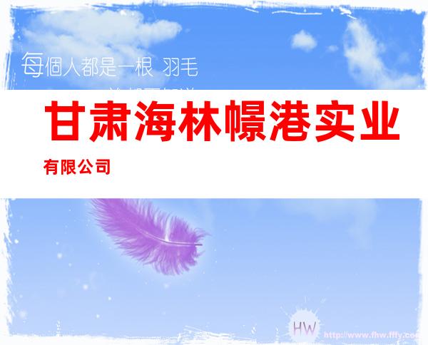 甘肃海林幜港实业有限公司