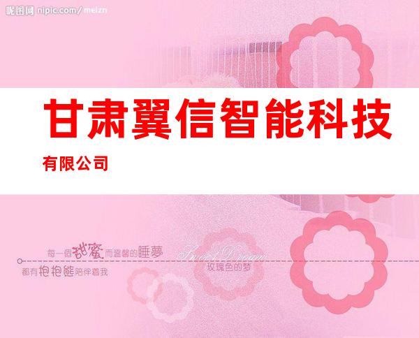 甘肃翼信智能科技有限公司