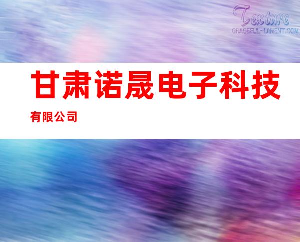 甘肃诺晟电子科技有限公司