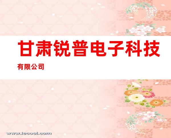 甘肃锐普电子科技有限公司