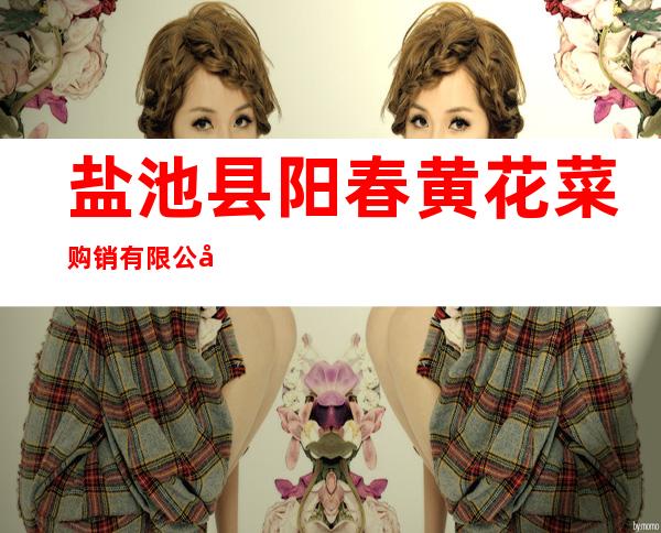 盐池县阳春黄花菜购销有限公司