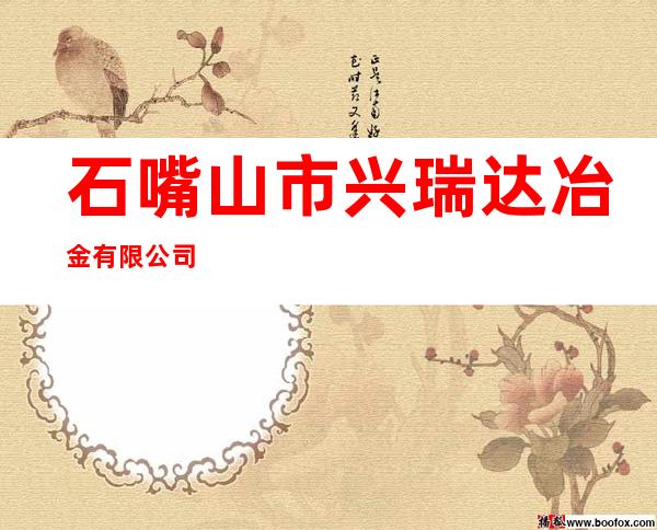 石嘴山市兴瑞达冶金有限公司