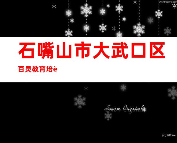 石嘴山市大武口区百灵教育培训有限公司