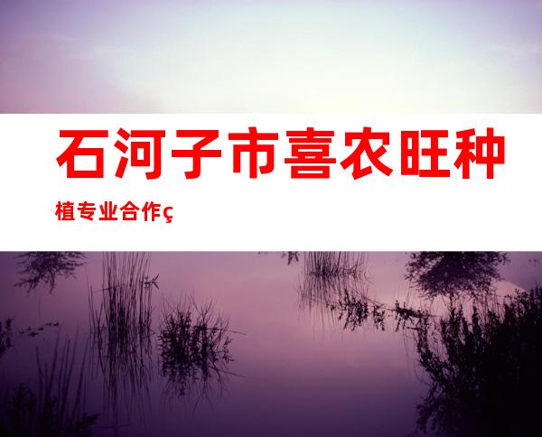 石河子市喜农旺种植专业合作社