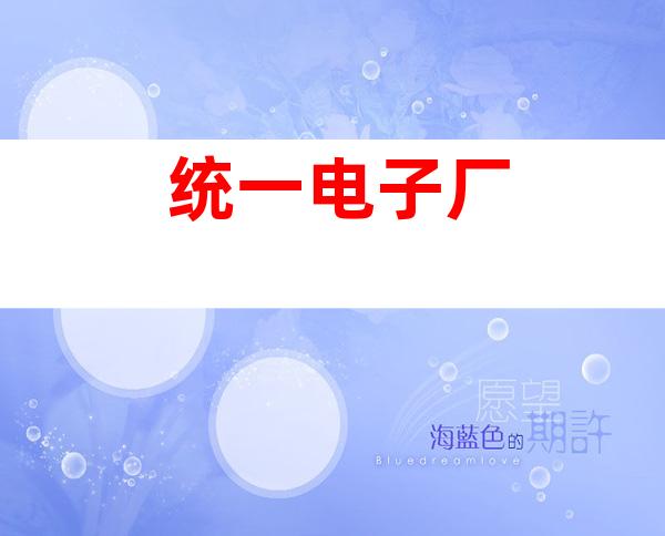 统一电子厂