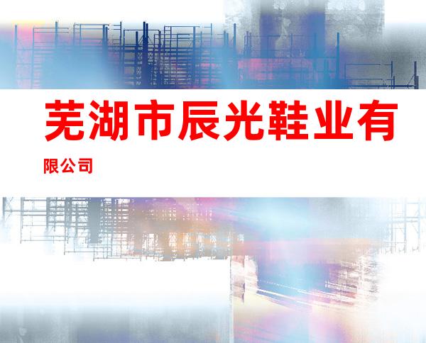 芜湖市辰光鞋业有限公司