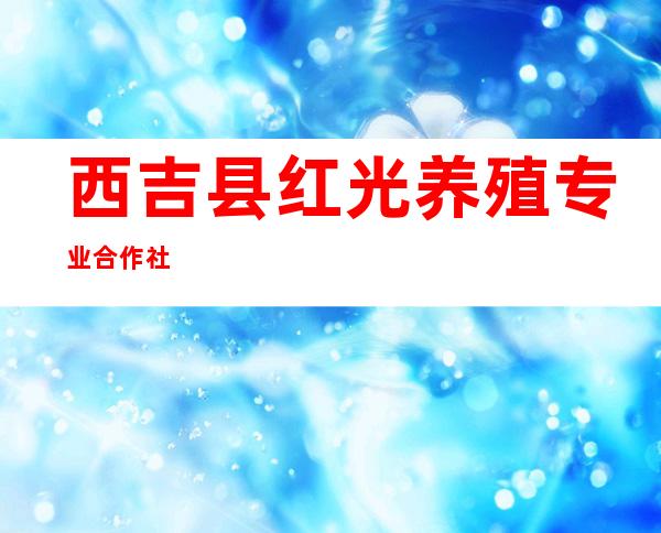西吉县红光养殖专业合作社