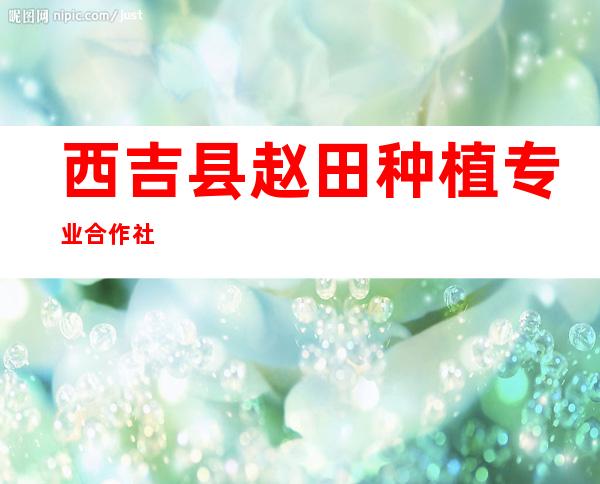 西吉县赵田种植专业合作社
