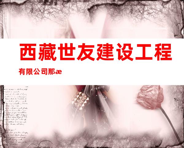 西藏世友建设工程有限公司那曲分公司