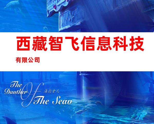 西藏智飞信息科技有限公司