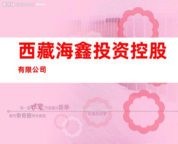 西藏海鑫投资控股有限公司