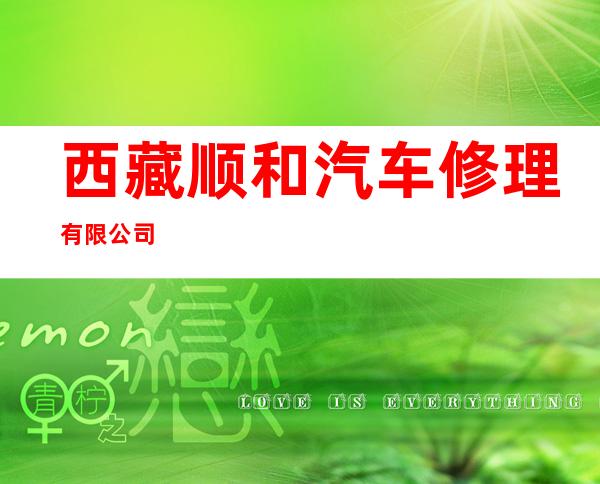 西藏顺和汽车修理有限公司