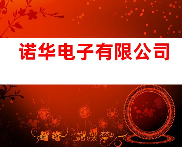 诺华电子有限公司