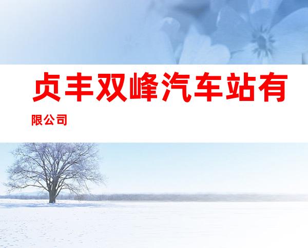 贞丰双峰汽车站有限公司