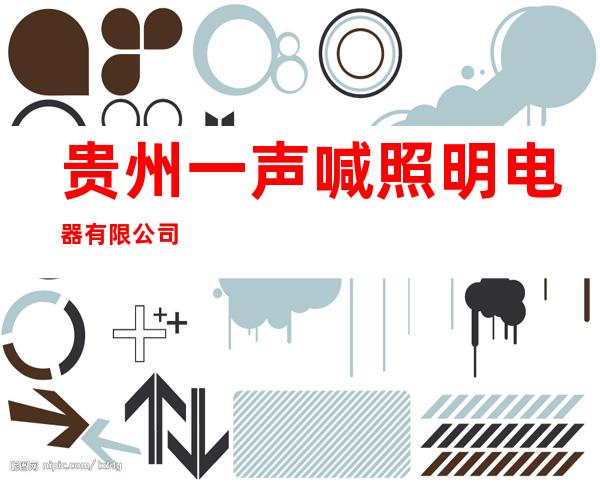 贵州一声喊照明电器有限公司