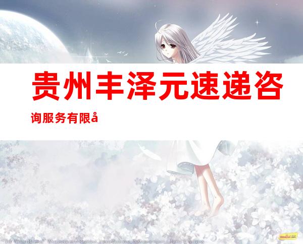 贵州丰泽元速递咨询服务有限公司