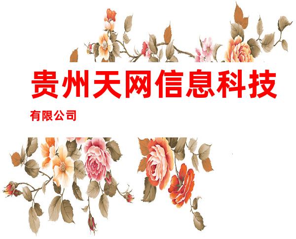 贵州天网信息科技有限公司