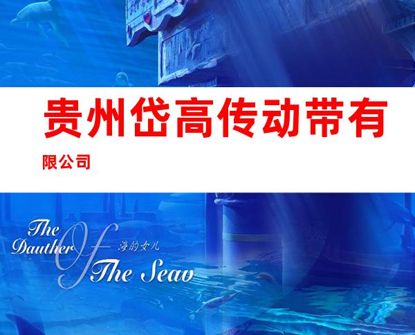 贵州岱高传动带有限公司