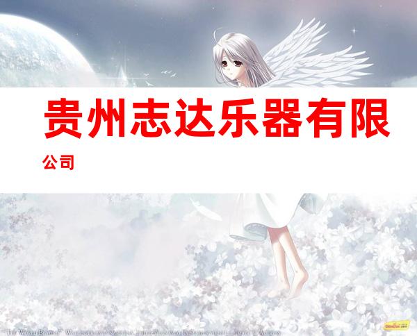 贵州志达乐器有限公司
