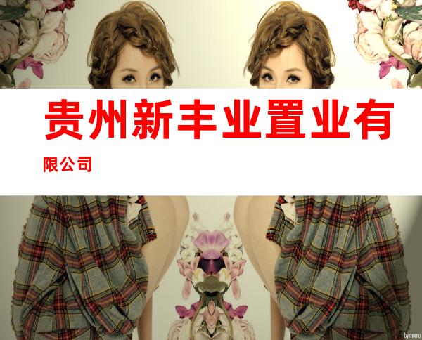 贵州新丰业置业有限公司