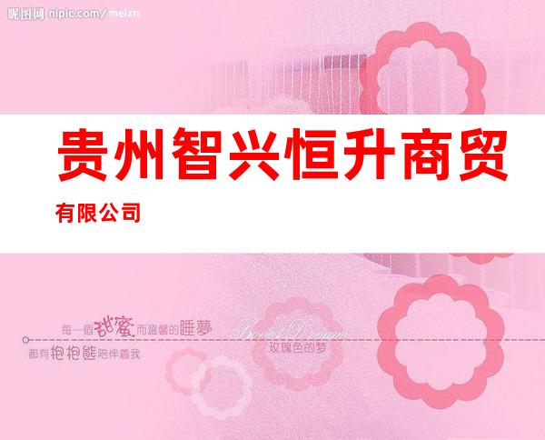 贵州智兴恒升商贸有限公司