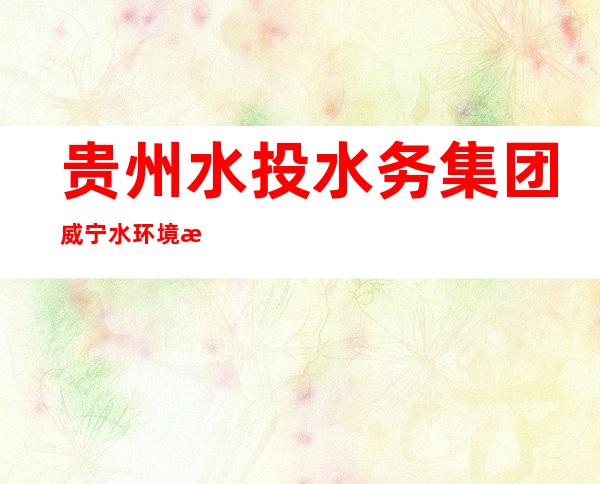 贵州水投水务集团威宁水环境有限公司