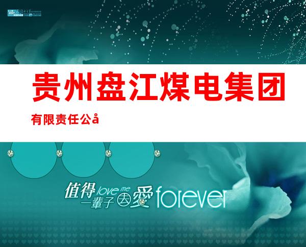 贵州盘江煤电集团有限责任公司供应链分公司