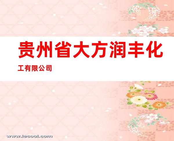 贵州省大方润丰化工有限公司