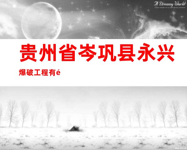 贵州省岑巩县永兴爆破工程有限责任公司