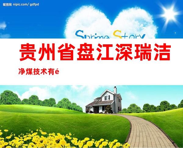 贵州省盘江深瑞洁净煤技术有限公司