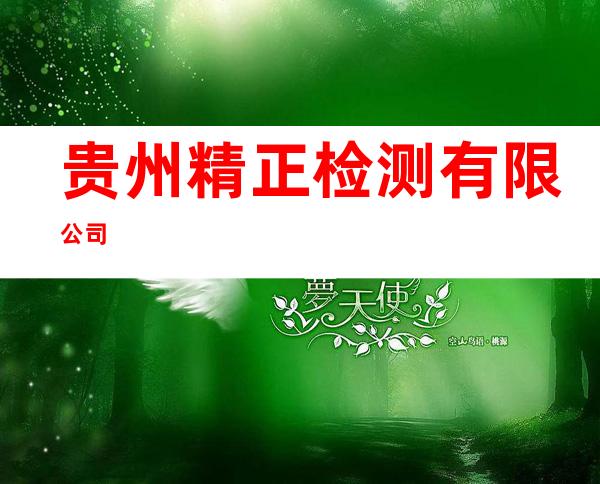 贵州精正检测有限公司
