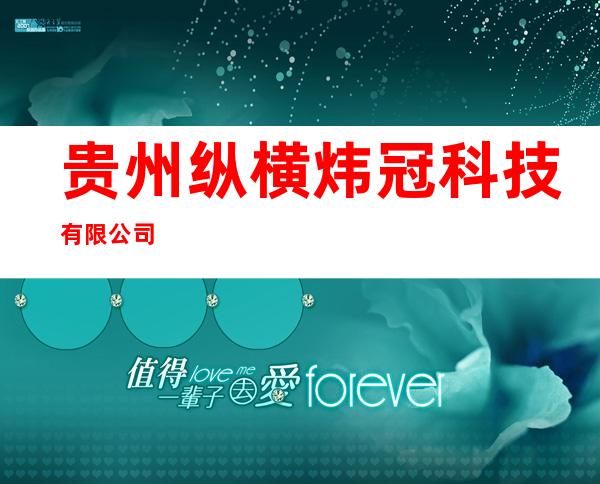 贵州纵横炜冠科技有限公司
