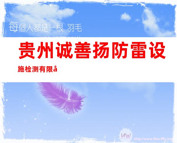 贵州诚善扬防雷设施检测有限公司