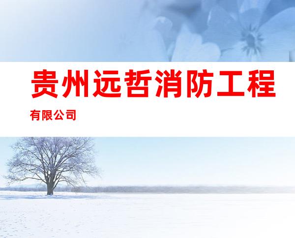 贵州远哲消防工程有限公司