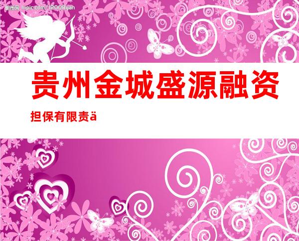 贵州金城盛源融资担保有限责任公司