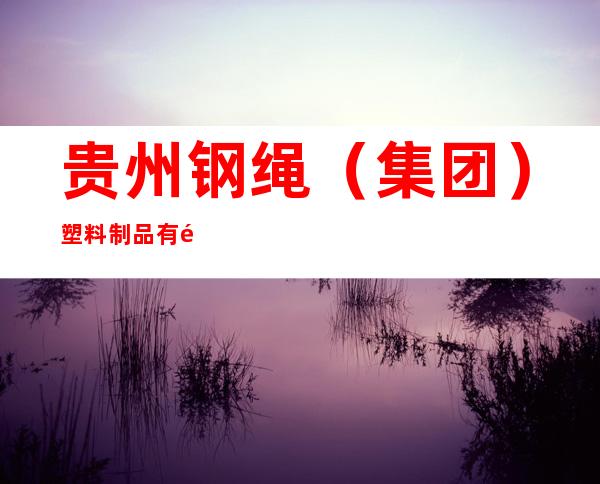 贵州钢绳(集团)塑料制品有限公司