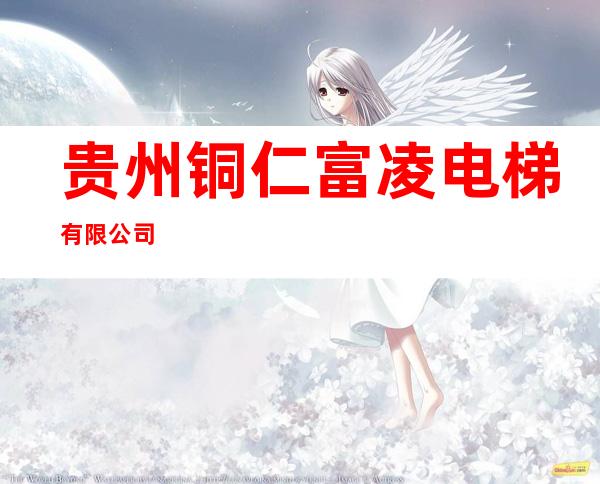 贵州铜仁富凌电梯有限公司