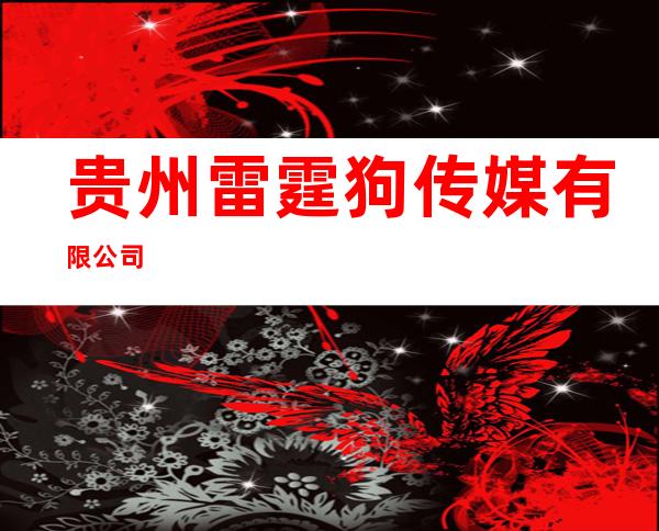 贵州雷霆狗传媒有限公司