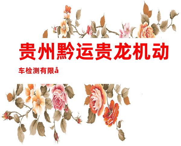 贵州黔运贵龙机动车检测有限公司