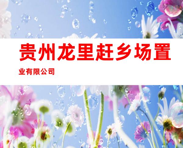 贵州龙里赶乡场置业有限公司