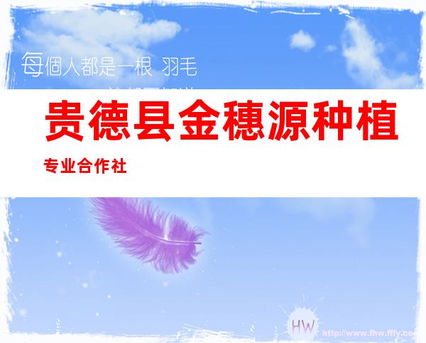 贵德县金穗源种植专业合作社