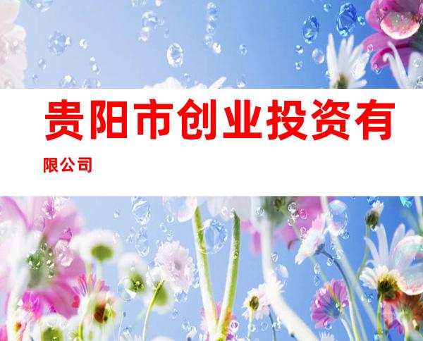 贵阳市创业投资有限公司