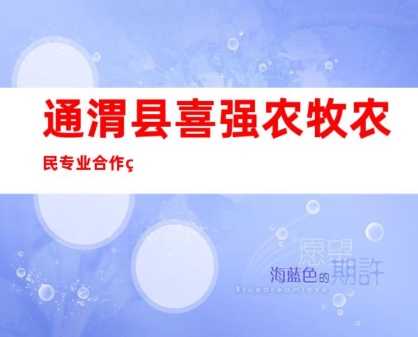 通渭县喜强农牧农民专业合作社
